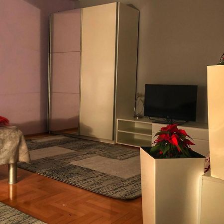 Apartments Near City Center スコピエ エクステリア 写真