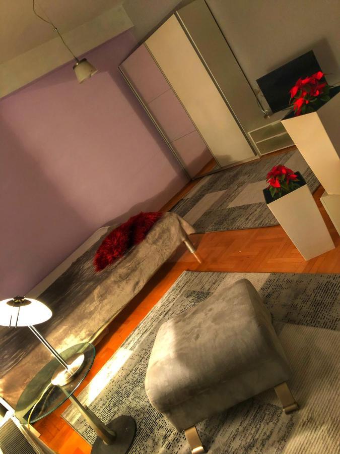 Apartments Near City Center スコピエ エクステリア 写真